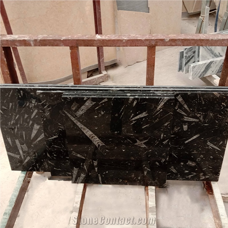 Factory Direct Price Fossil Black Marble