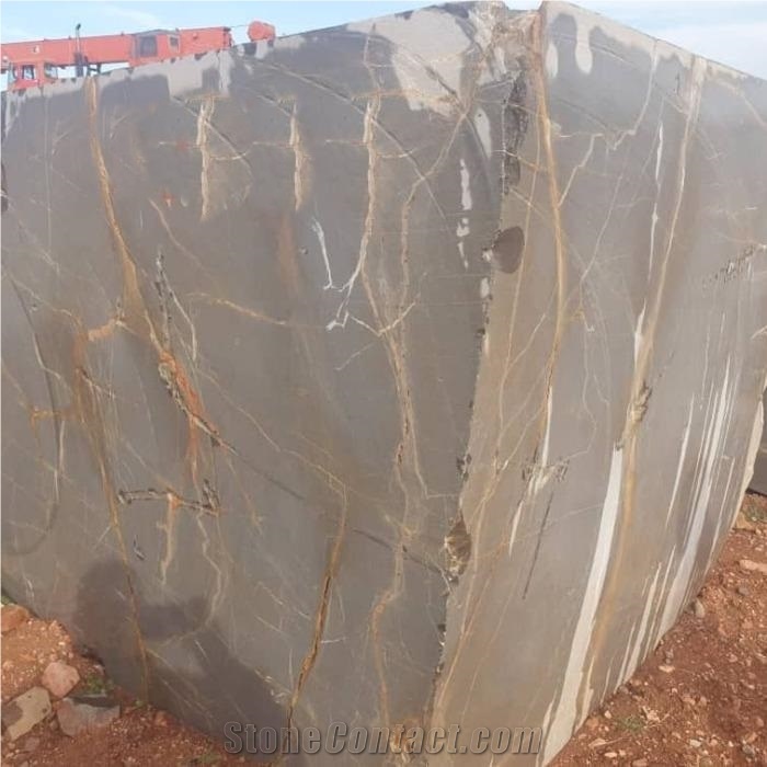 Armani Brown Marble Blocks With Golden Veins