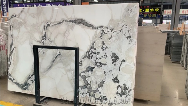 Imported Luxury Dolomite Stone Marble Oyster White Wall Tile