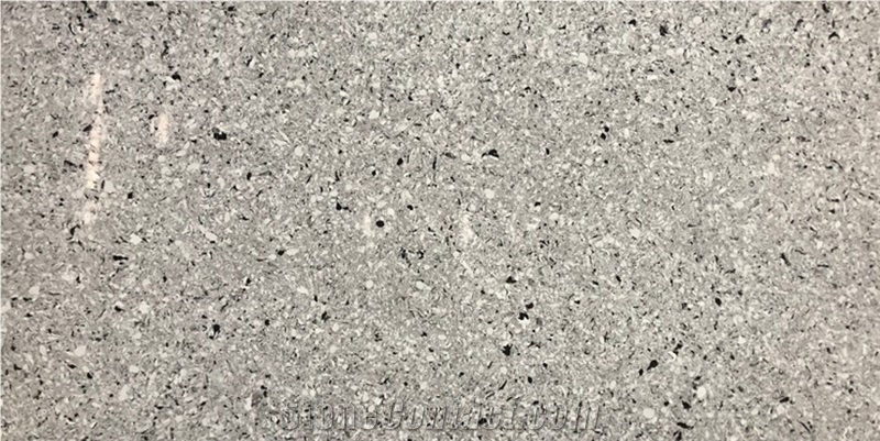 VG2410 Everest Granite- Artificial Quartz Stone