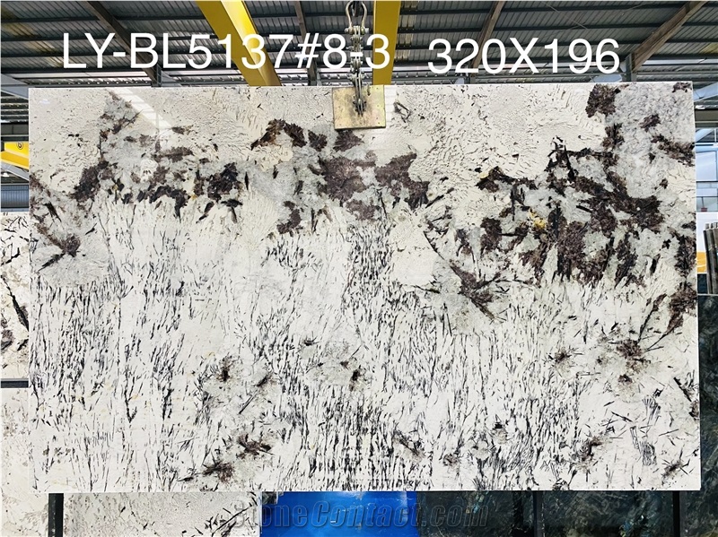 Luxury Granite Slabs For Background Wall Floor And Table