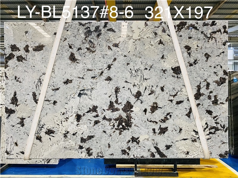 Luxury Granite Slabs For Background Wall Floor And Table