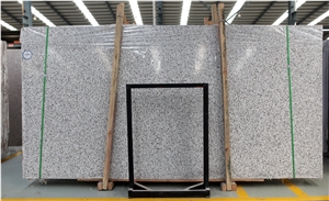 Light Grey Terrazzo Big Slab Polish