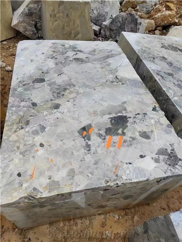 China Fossil Grey Marble Slabs Flooring Tiles