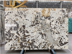 Polish Splendour Glod Granite Slabs For TV Background