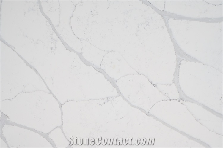 Big Slab Quartz Stone Grey Veins White Background