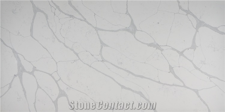 Big Slab Quartz Stone Grey Veins White Background