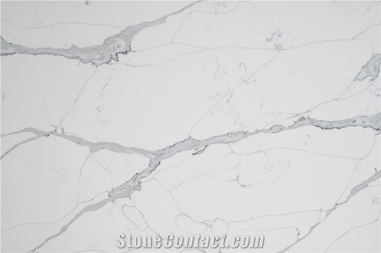 Big Slab Quartz Stone White Background Grey Veins
