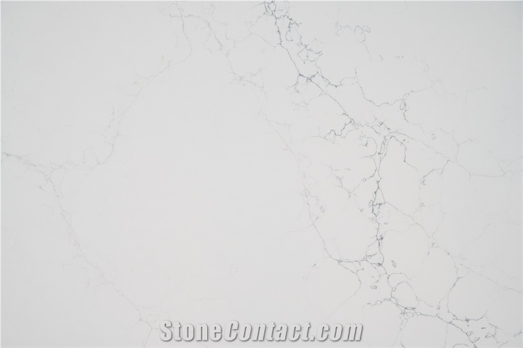 Detail Quartz Slab In White Grey Color