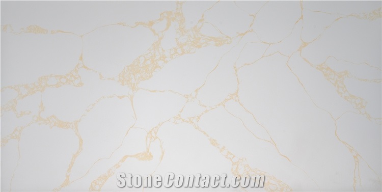 Popular Gold Quartz Slab Veins White Background