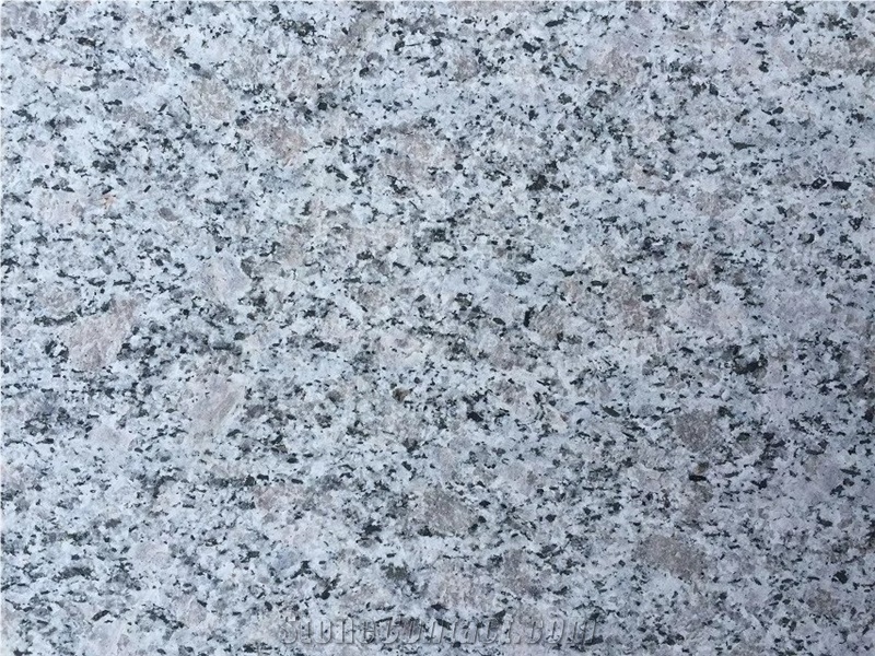 Big Flower White Granite, Beta White Granite