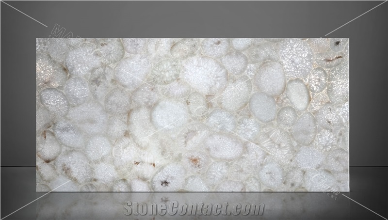 Agate Jellyfish Semiprecious Stone