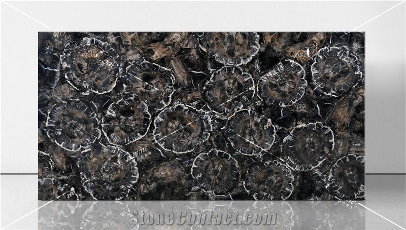 Black Petrified Wood Semiprecious Stone Slabs