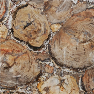 Petrified Wood Beige Semiprecious Stone Slabs