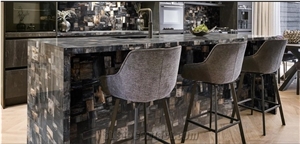 Petrified Wood Black Jurassic Semiprecious Stone Kitchen Countertop