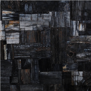 Petrified Wood Black Jurassic Semiprecious Stone Slabs