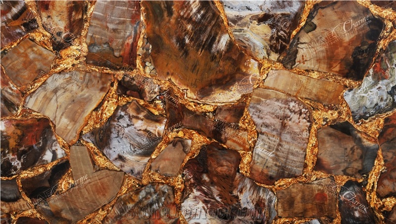 Petrified Wood Brown With Gold Semiprecious Stone Slabs