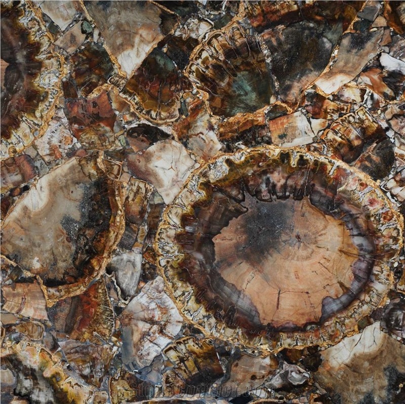Petrified Wood Brown With Gold Semiprecious Stone Slabs