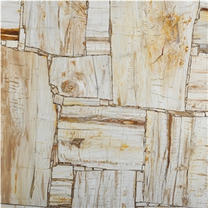 Petrified Wood Ivory Retro Semiprecious Stone