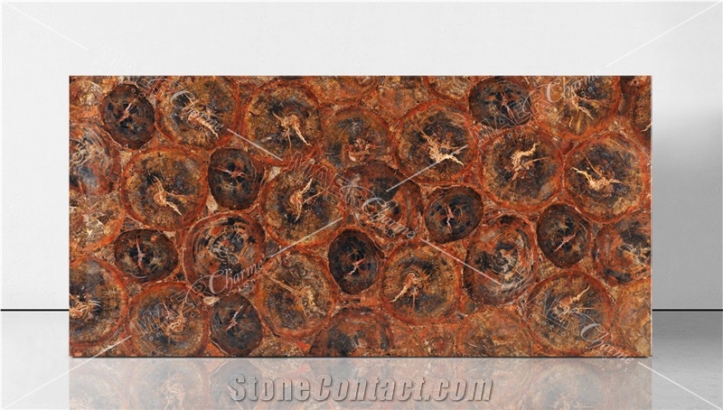 Red Petrified Wood Semiprecious Stone Slabs