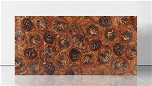 Red Petrified Wood Semiprecious Stone Slabs