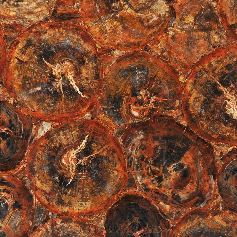 Red Petrified Wood Semiprecious Stone Slabs