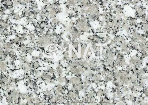 G603 Granite Vietnam White Granite Forest White Countertop
