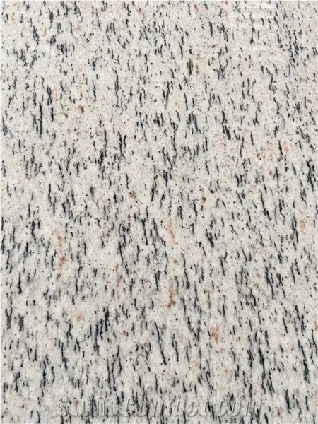 White Granite Floor Tile Camelia White Gabbro Wall Tile