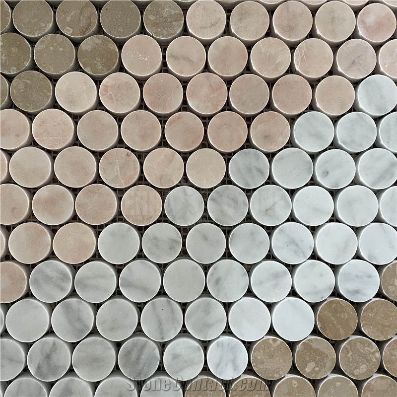 White Gray Marble Multi Color Mixed Mosaic Tile Penny Round