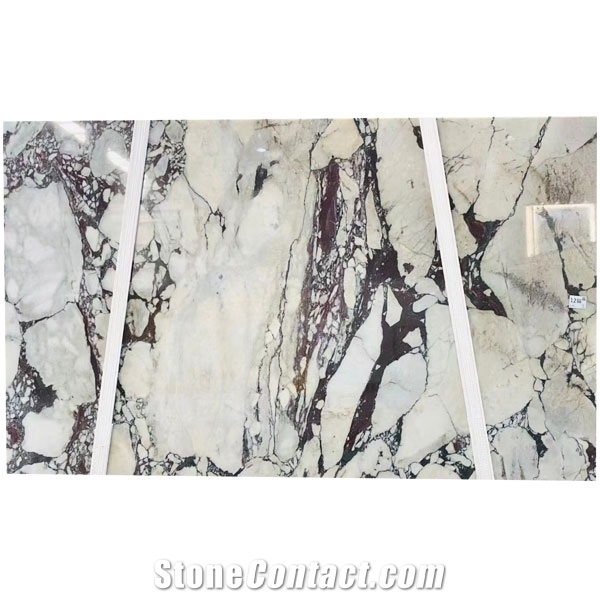 High Quality Marble Calacatta Viola Marble Slabs