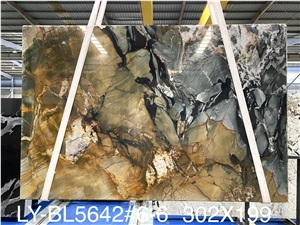 High Quality Polished Andes Black Quartzite Background Wall