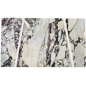 Lilac Marble Calacatta Viola Breccia Capraia Marble Slabs