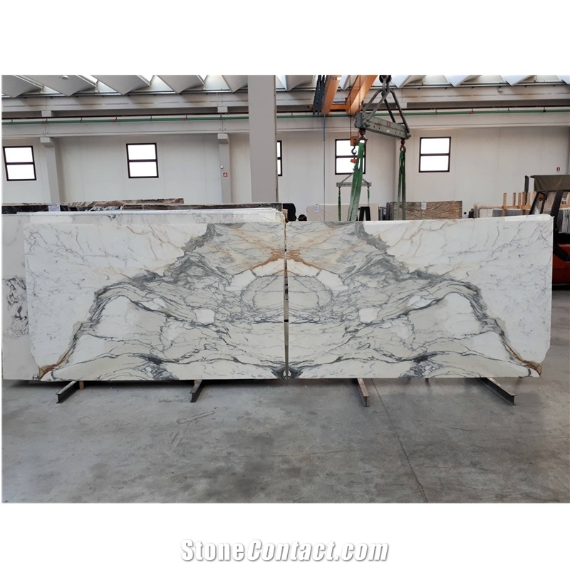 Calacatta Macchia Vecchia Marble Bookmatch Polished Slabs