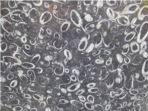 Peacock Eye Marble Sea Shell Marble Slab Supplier