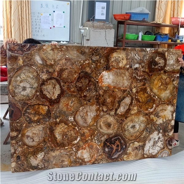 Petrified Wood Stone Slab-Semiprecious Stone