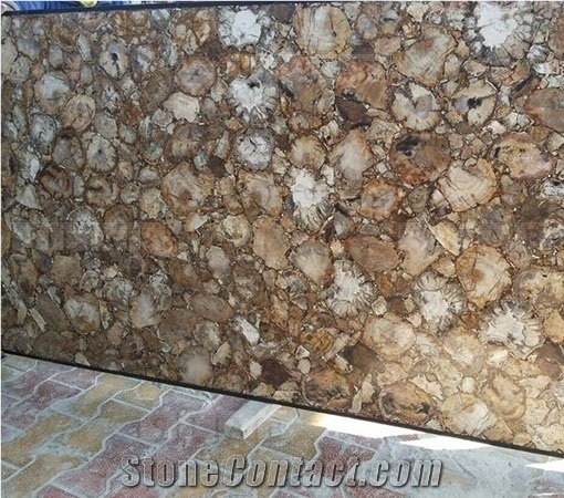 Petrified Wood Stone Slab-Semiprecious Stone