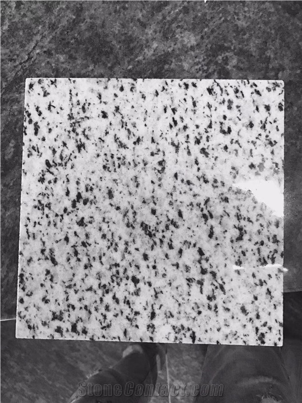 Egypt White Granite Floor Tiles, Granite Slabs