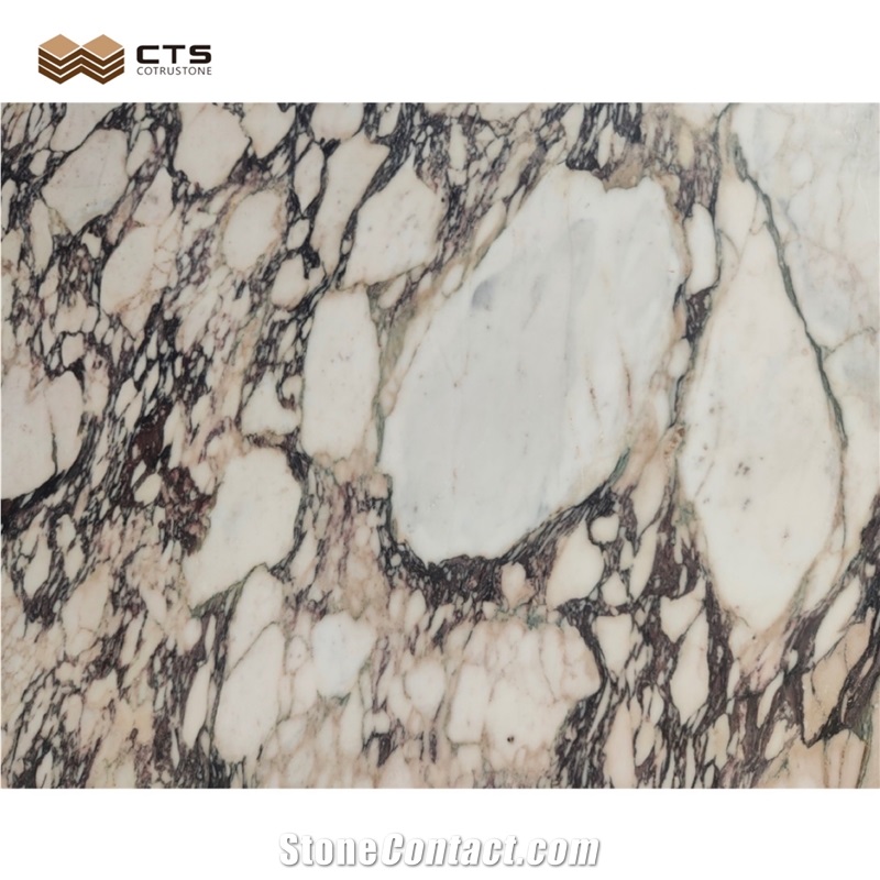 Calacatta Viola Luxury Pattern Interior Marble Slab Design