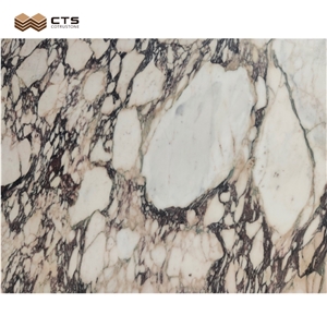 Calacatta Viola Luxury Pattern Interior Marble Slab Design