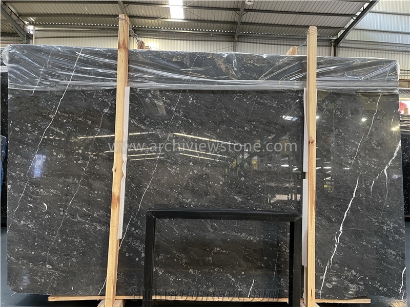 New Fossil Black Marble Slab With Cheap Price