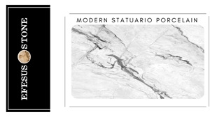 Modern Statuario Porcelain