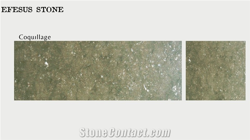 Eflani Fossil Rustic Green Limestone