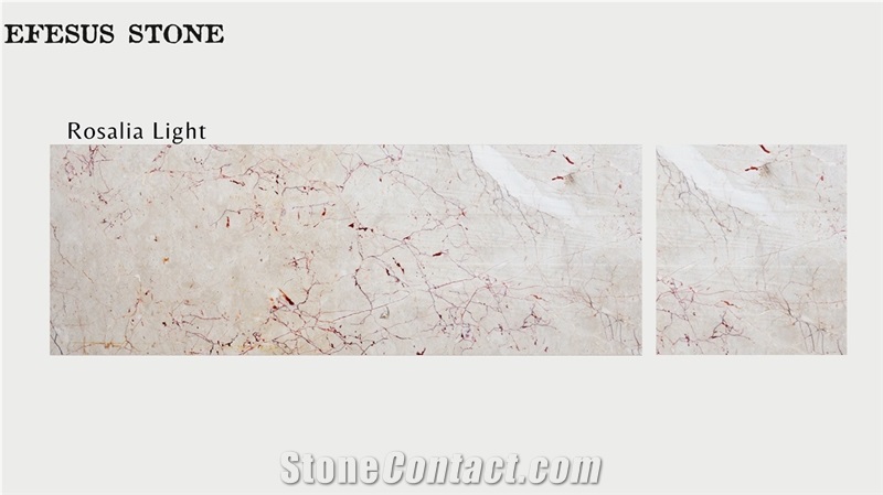 Small Fossil Beige Marble Stones