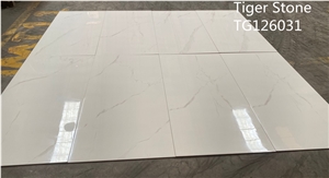 Glazed Porcelain Panel
