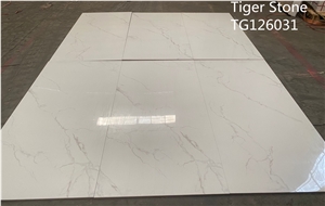 Porcelain Wall Tiles