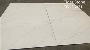 Porcelain Wall Tiles