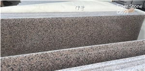 Restaurant Kitchen Top G699 Granite