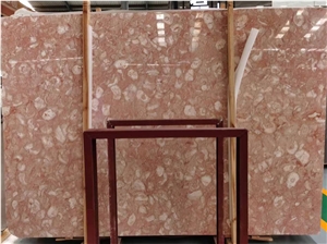 Shells Reef Gold Limestone Slab