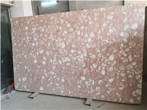 Shells Reef Pink Limestone Slab