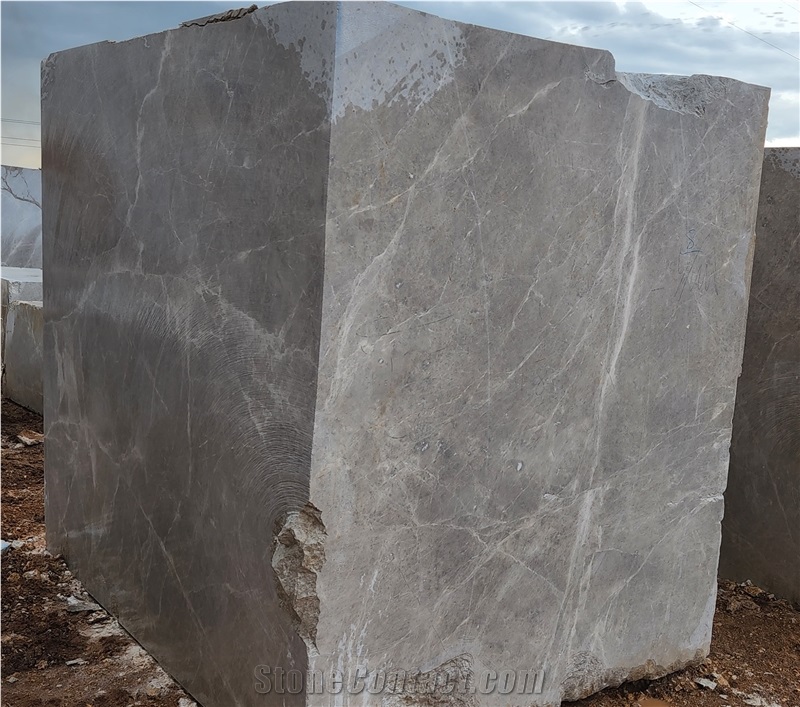 Aris Silver Marble Blocks